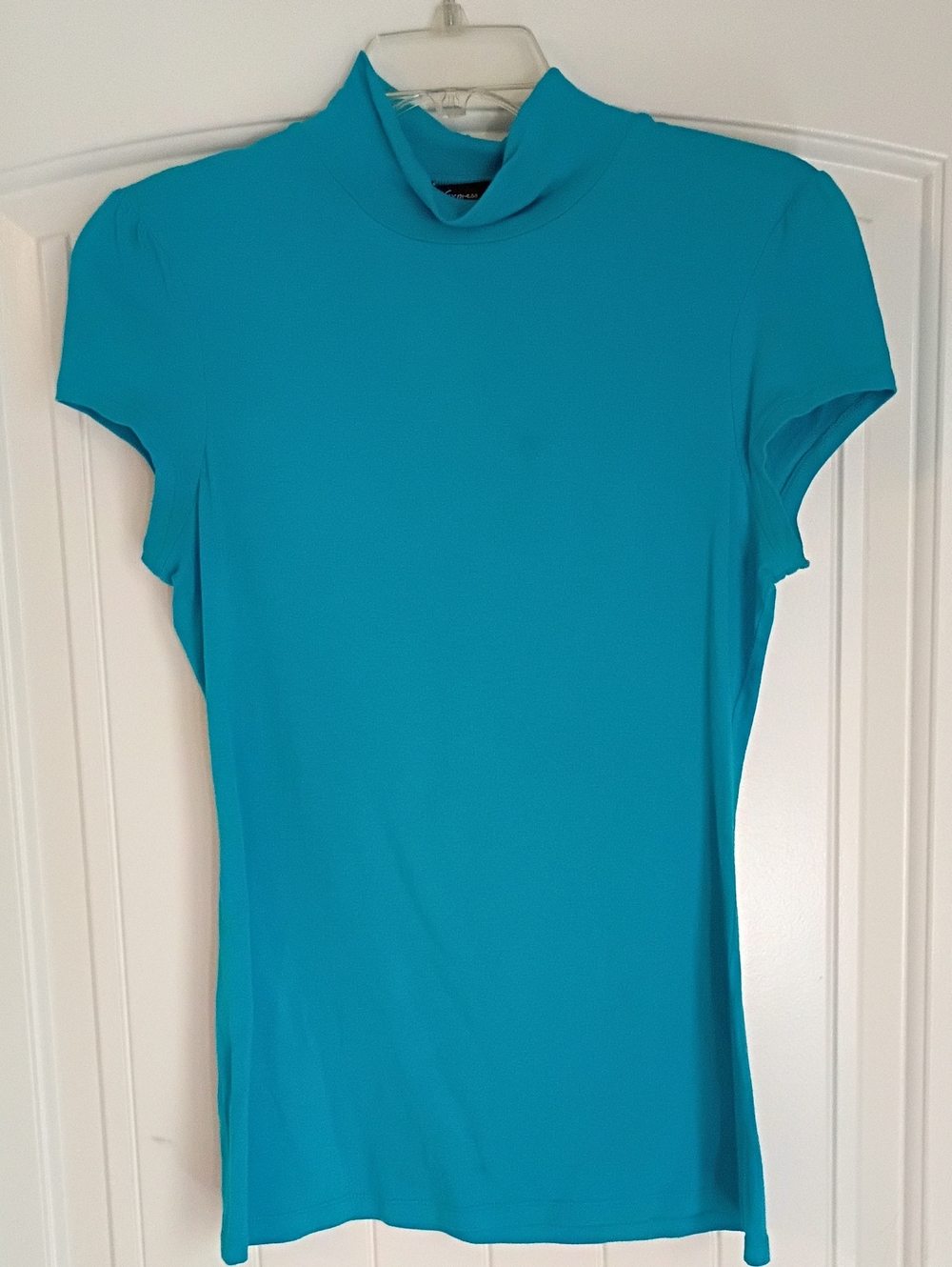 Express Teal Mock Neck Short Sleeve Top